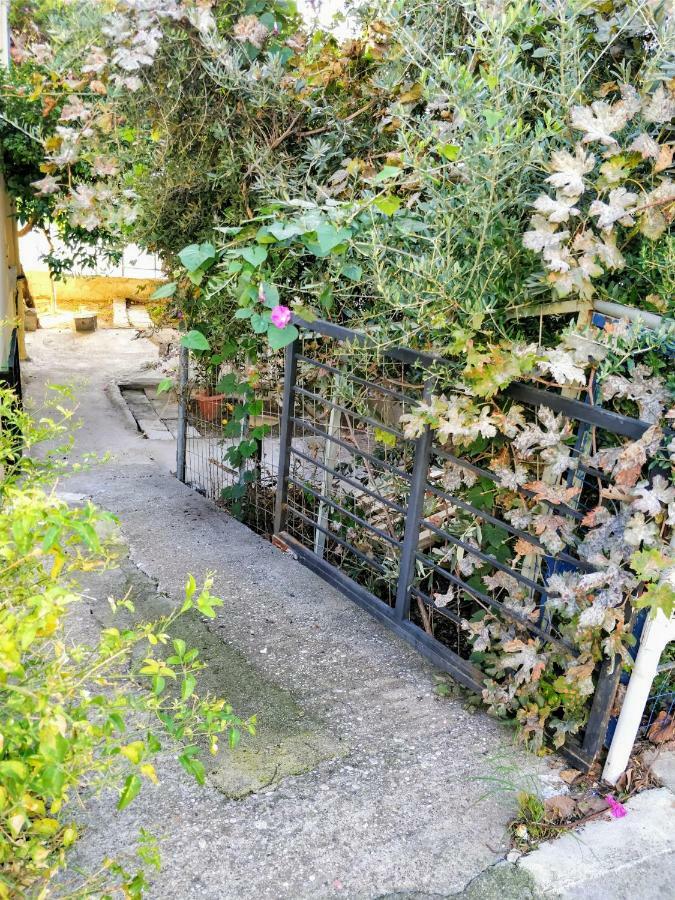 Amazing Apartment 100 Meters From The Old Town Rhodes City 外观 照片